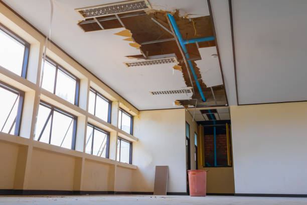 Best Water damage restoration mold remediation  in Barberton, OH