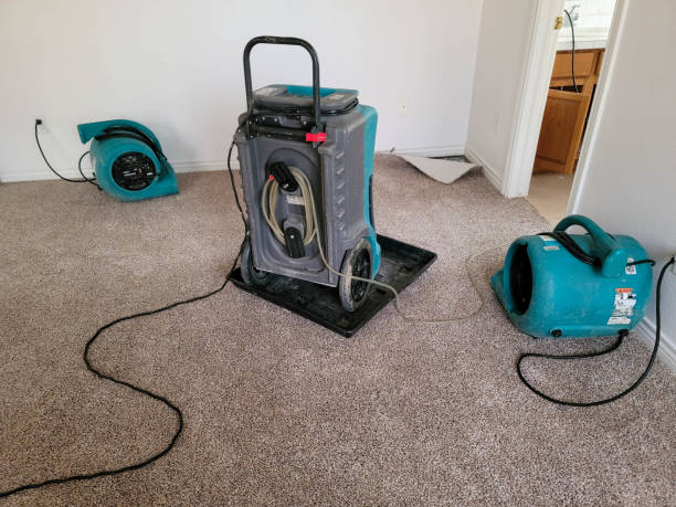 Best 24/7 water damage repair  in Barberton, OH