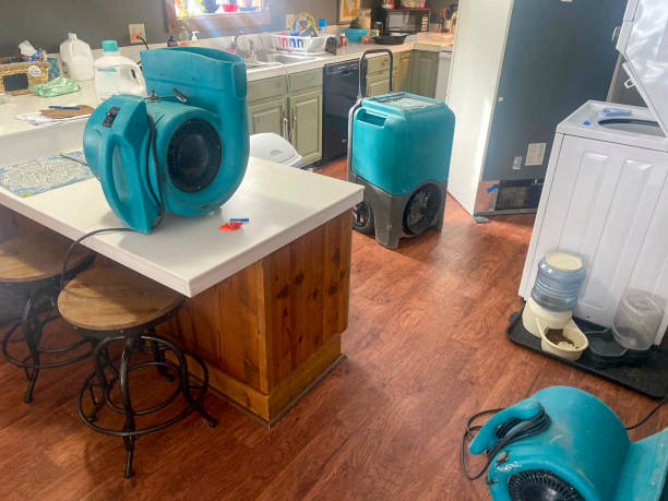 Best Residential water damage restoration  in Barberton, OH
