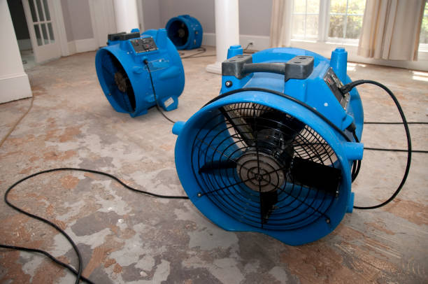 Best Carpet water damage restoration  in Barberton, OH