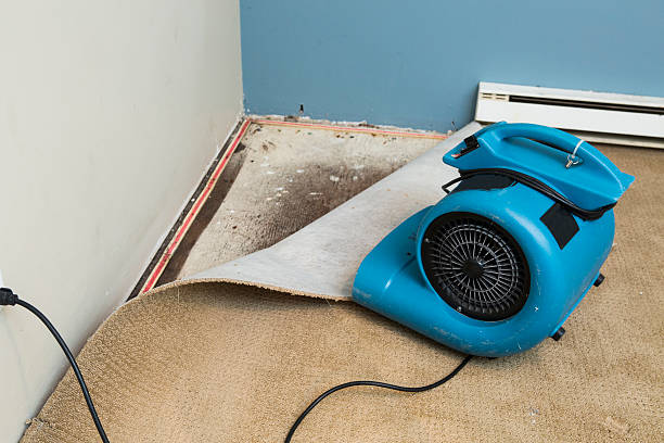 Best Emergency water damage restoration  in Barberton, OH